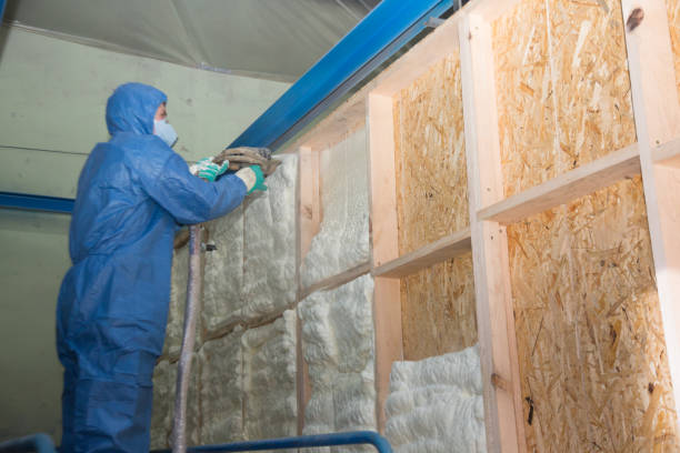 Best Insulation Contractor Near Me  in Lake Worth, TX